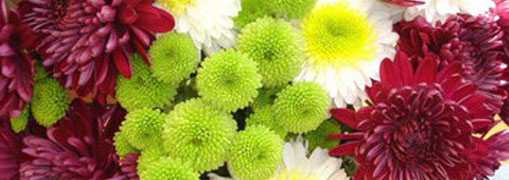 monthly flower image