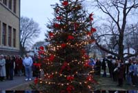 memory tree photo